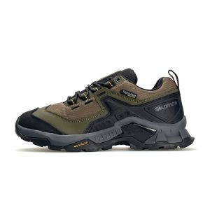 Чоловічі кросівки Salomon Quest Element Gore-Tex Khaki